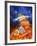 Artwork of Sun And Planets of Solar System-Julian Baum-Framed Photographic Print