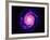 Artwork of the Milky Way, Our Galaxy-Joe Tucciarone-Framed Photographic Print