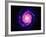 Artwork of the Milky Way, Our Galaxy-Joe Tucciarone-Framed Photographic Print