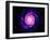 Artwork of the Milky Way, Our Galaxy-Joe Tucciarone-Framed Photographic Print