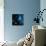 Artwork of the Solar System-Detlev Van Ravenswaay-Premium Photographic Print displayed on a wall