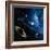 Artwork of the Solar System-Detlev Van Ravenswaay-Framed Premium Photographic Print