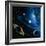 Artwork of the Solar System-Detlev Van Ravenswaay-Framed Premium Photographic Print