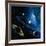 Artwork of the Solar System-Detlev Van Ravenswaay-Framed Photographic Print