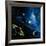 Artwork of the Solar System-Detlev Van Ravenswaay-Framed Photographic Print