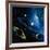 Artwork of the Solar System-Detlev Van Ravenswaay-Framed Photographic Print