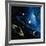 Artwork of the Solar System-Detlev Van Ravenswaay-Framed Photographic Print