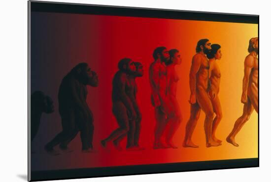 Artwork of the Stages In Human Evolution-David Gifford-Mounted Photographic Print