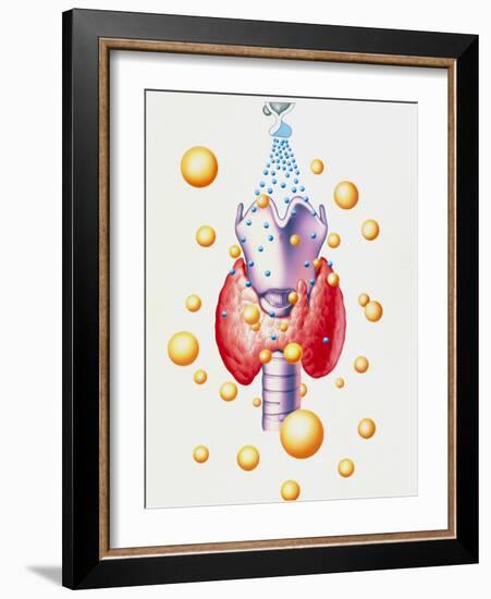 Artwork of Thyroid & Pituitary Hormone Control-John Bavosi-Framed Photographic Print