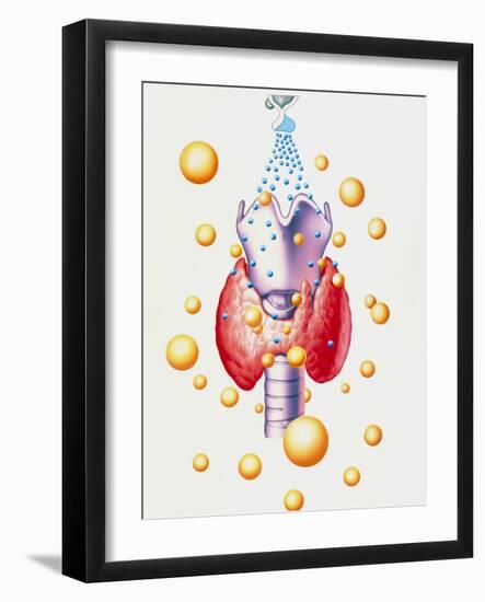 Artwork of Thyroid & Pituitary Hormone Control-John Bavosi-Framed Photographic Print