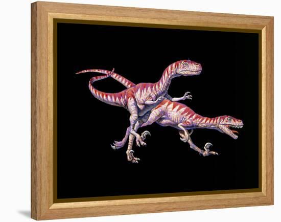 Artwork of Two Deinonychus Dinosaurs-Joe Tucciarone-Framed Premier Image Canvas