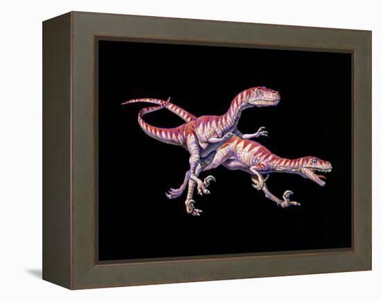 Artwork of Two Deinonychus Dinosaurs-Joe Tucciarone-Framed Premier Image Canvas