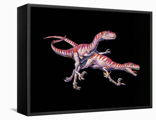 Artwork of Two Deinonychus Dinosaurs-Joe Tucciarone-Framed Premier Image Canvas