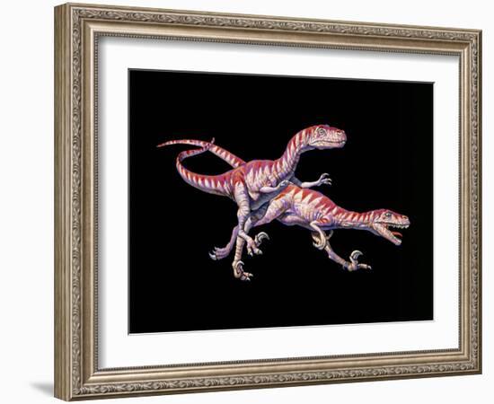 Artwork of Two Deinonychus Dinosaurs-Joe Tucciarone-Framed Photographic Print