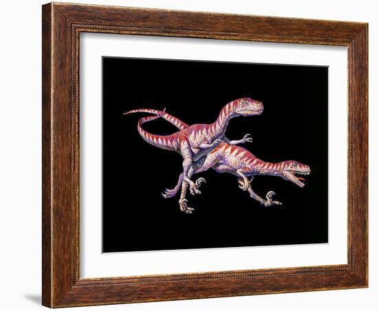 Artwork of Two Deinonychus Dinosaurs-Joe Tucciarone-Framed Photographic Print