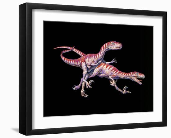 Artwork of Two Deinonychus Dinosaurs-Joe Tucciarone-Framed Photographic Print