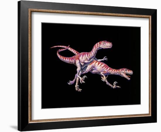 Artwork of Two Deinonychus Dinosaurs-Joe Tucciarone-Framed Photographic Print