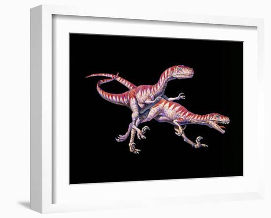 Artwork of Two Deinonychus Dinosaurs-Joe Tucciarone-Framed Photographic Print