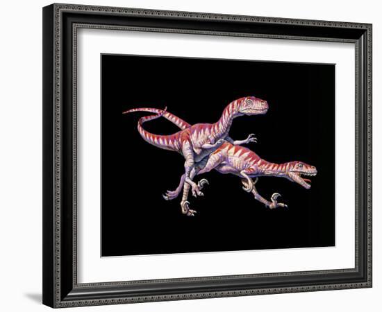 Artwork of Two Deinonychus Dinosaurs-Joe Tucciarone-Framed Photographic Print