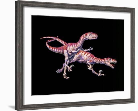 Artwork of Two Deinonychus Dinosaurs-Joe Tucciarone-Framed Photographic Print