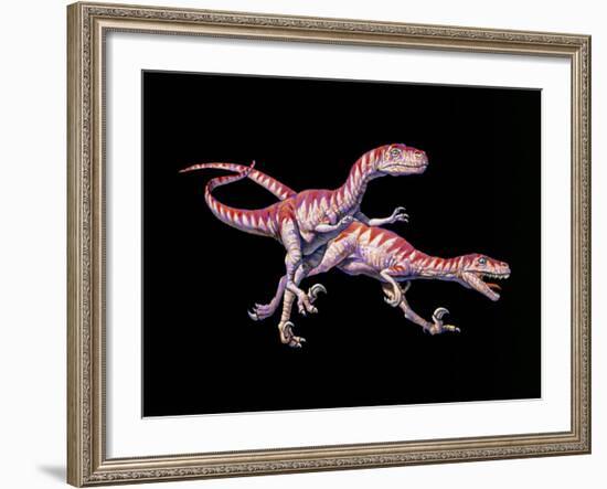 Artwork of Two Deinonychus Dinosaurs-Joe Tucciarone-Framed Photographic Print