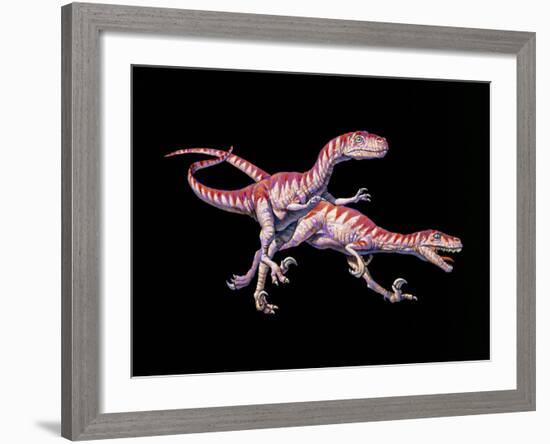 Artwork of Two Deinonychus Dinosaurs-Joe Tucciarone-Framed Photographic Print