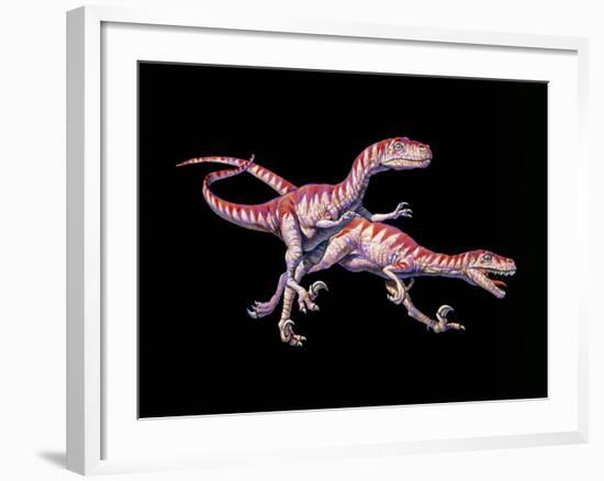 Artwork of Two Deinonychus Dinosaurs-Joe Tucciarone-Framed Photographic Print