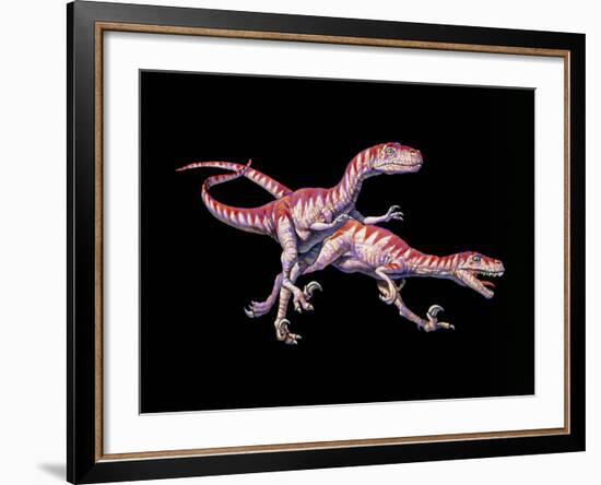 Artwork of Two Deinonychus Dinosaurs-Joe Tucciarone-Framed Photographic Print