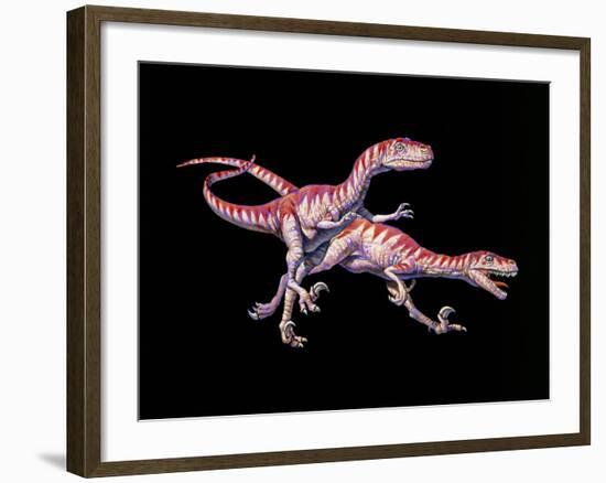 Artwork of Two Deinonychus Dinosaurs-Joe Tucciarone-Framed Photographic Print
