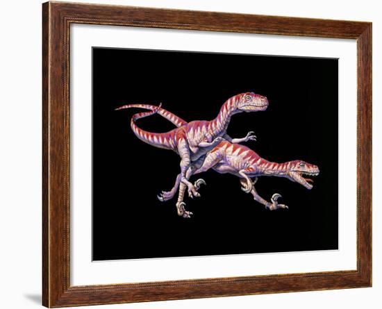 Artwork of Two Deinonychus Dinosaurs-Joe Tucciarone-Framed Photographic Print