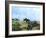 Artwork of Tyrannosaurus & Triceratops Dinosaurs-Chris Butler-Framed Photographic Print