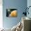 Artwork Showing Magellan Spacecraft Orbiting Venus-Julian Baum-Photographic Print displayed on a wall