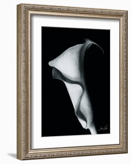 Arum Lily I-Bruce Rae-Framed Giclee Print