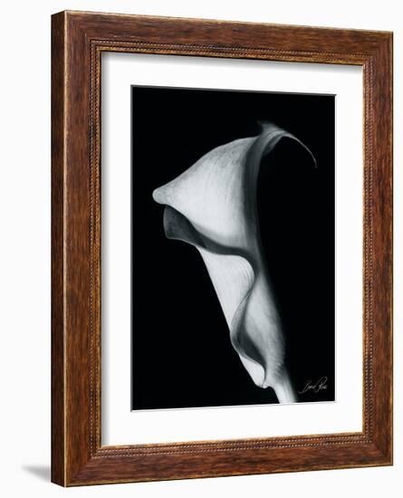 Arum Lily I-Bruce Rae-Framed Giclee Print