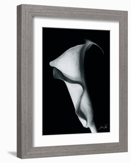 Arum Lily I-Bruce Rae-Framed Giclee Print