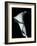 Arum Lily I-Bruce Rae-Framed Giclee Print