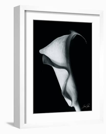 Arum Lily I-Bruce Rae-Framed Giclee Print