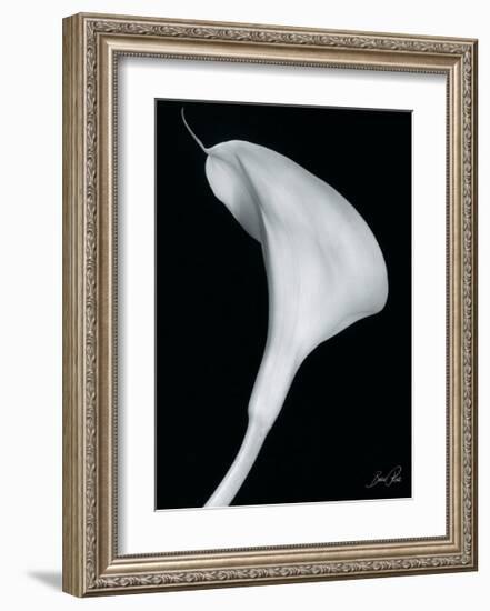 Arum Lily II-Bruce Rae-Framed Giclee Print