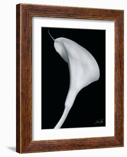 Arum Lily II-Bruce Rae-Framed Giclee Print