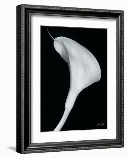 Arum Lily II-Bruce Rae-Framed Giclee Print