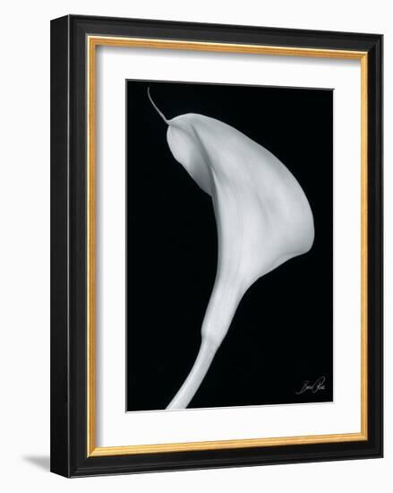 Arum Lily II-Bruce Rae-Framed Giclee Print