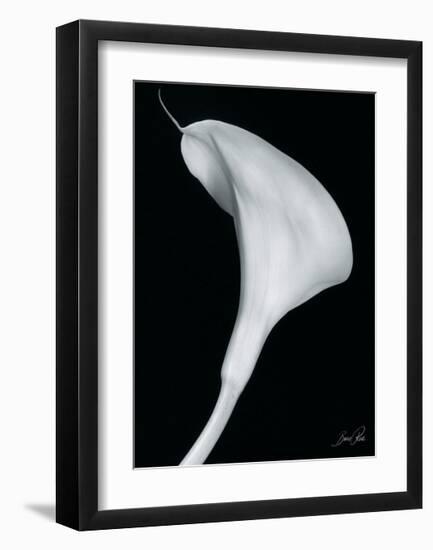 Arum Lily II-Bruce Rae-Framed Giclee Print