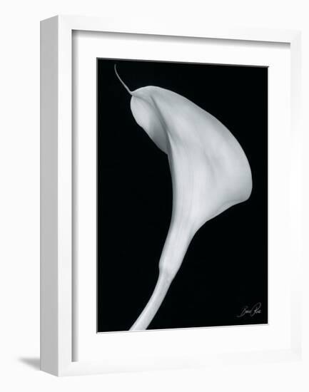 Arum Lily II-Bruce Rae-Framed Giclee Print