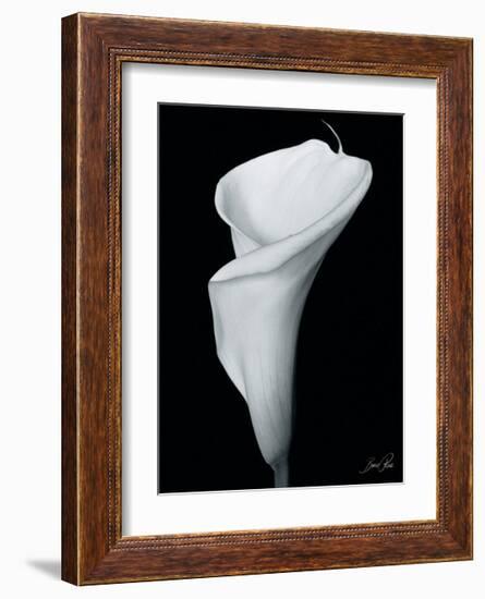 Arum Lily III-Bruce Rae-Framed Giclee Print