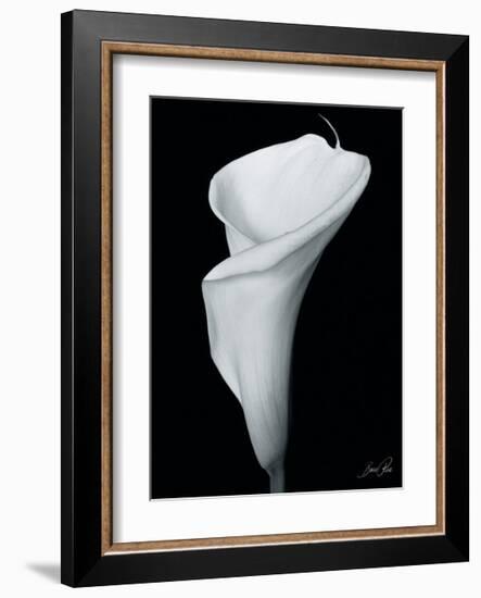 Arum Lily III-Bruce Rae-Framed Giclee Print