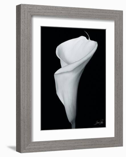 Arum Lily III-Bruce Rae-Framed Giclee Print