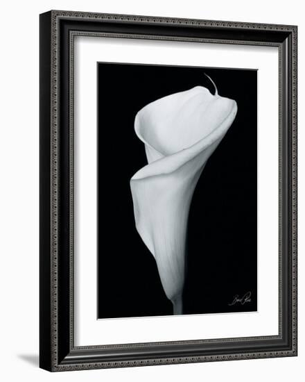 Arum Lily III-Bruce Rae-Framed Giclee Print