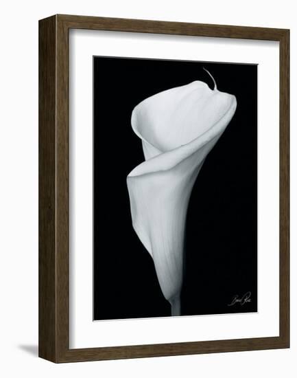 Arum Lily III-Bruce Rae-Framed Giclee Print