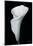 Arum Lily III-Bruce Rae-Mounted Giclee Print