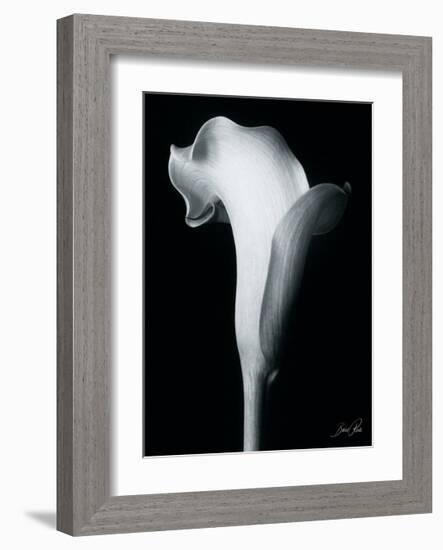 Arum Lily IV-Bruce Rae-Framed Giclee Print